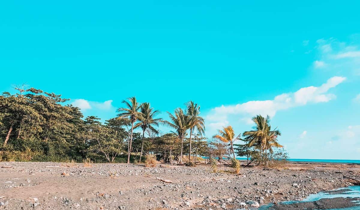 Puerto Jiménez Costa Rica: A Beach And Nature Paradise